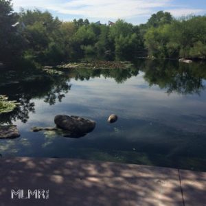 Lake at BioPark Botanic Garden