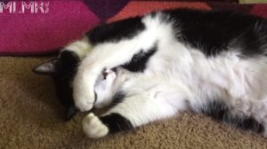 Paxton Covering His Face