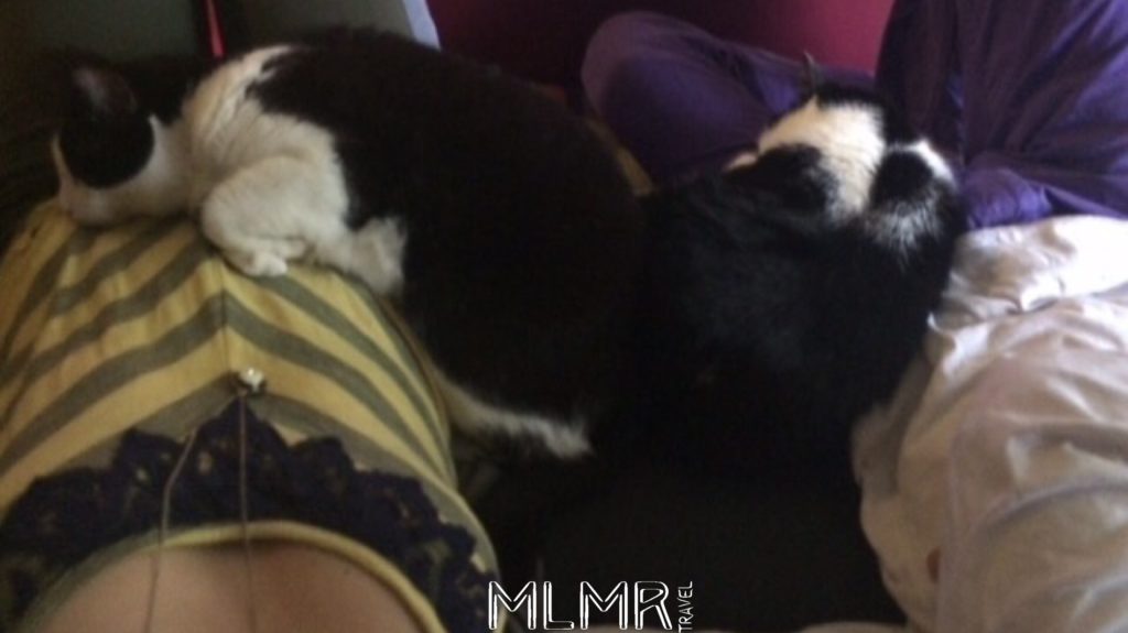 The Boys Laying on US