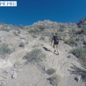 Kelsey Climbing Turtlehead Peak
