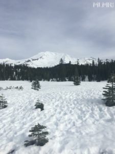 Exploring Mt. Shasta