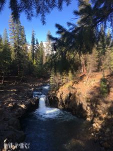 Hiking Near Mount Shata