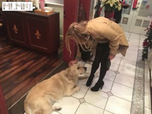 Dog in the lobby of the Cornell Hotel