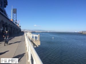 View of the bay next to the AT&T arena