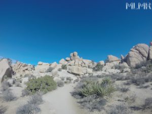 Hiking in the desert