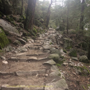 Hiking trail in Yosemite