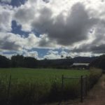 North Shore Honolulu