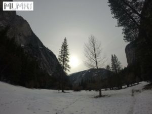 Yosemite view From Campsite