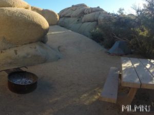 Campground with firewood