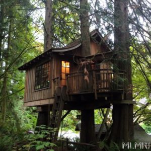 Treehouse in Treehouse point