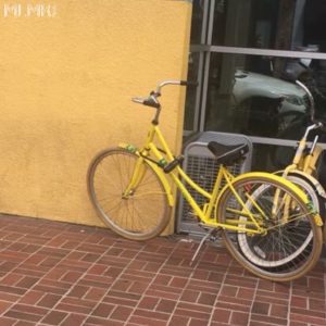 Bikes to rent at Staypineapple