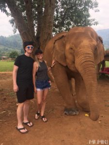 Visiting elephants at Elephant Nature Park