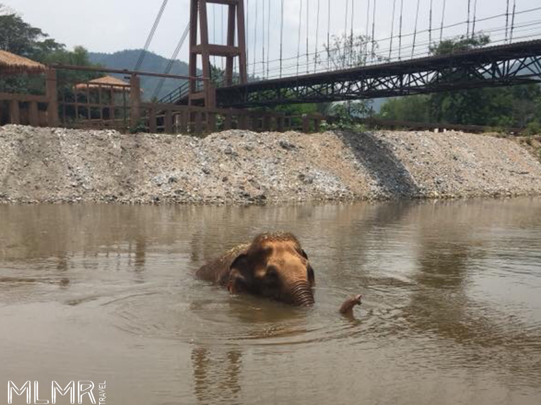 Elephant bathing in the river