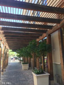 Fashion Square in Scottsdale