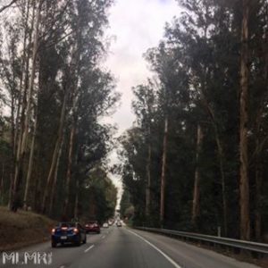 Our commute to work from Garlic Farm RV Park