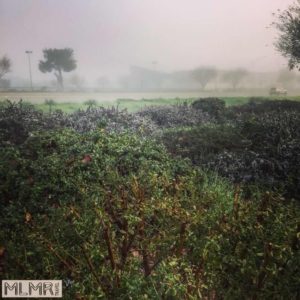 View of Gilroy near Garlic Farm RV park