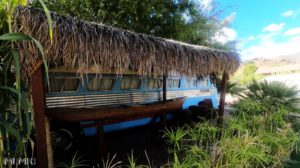 The Tiki Bus at The Shady Dell