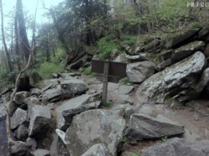 Hiking Trails near Gatlinburg