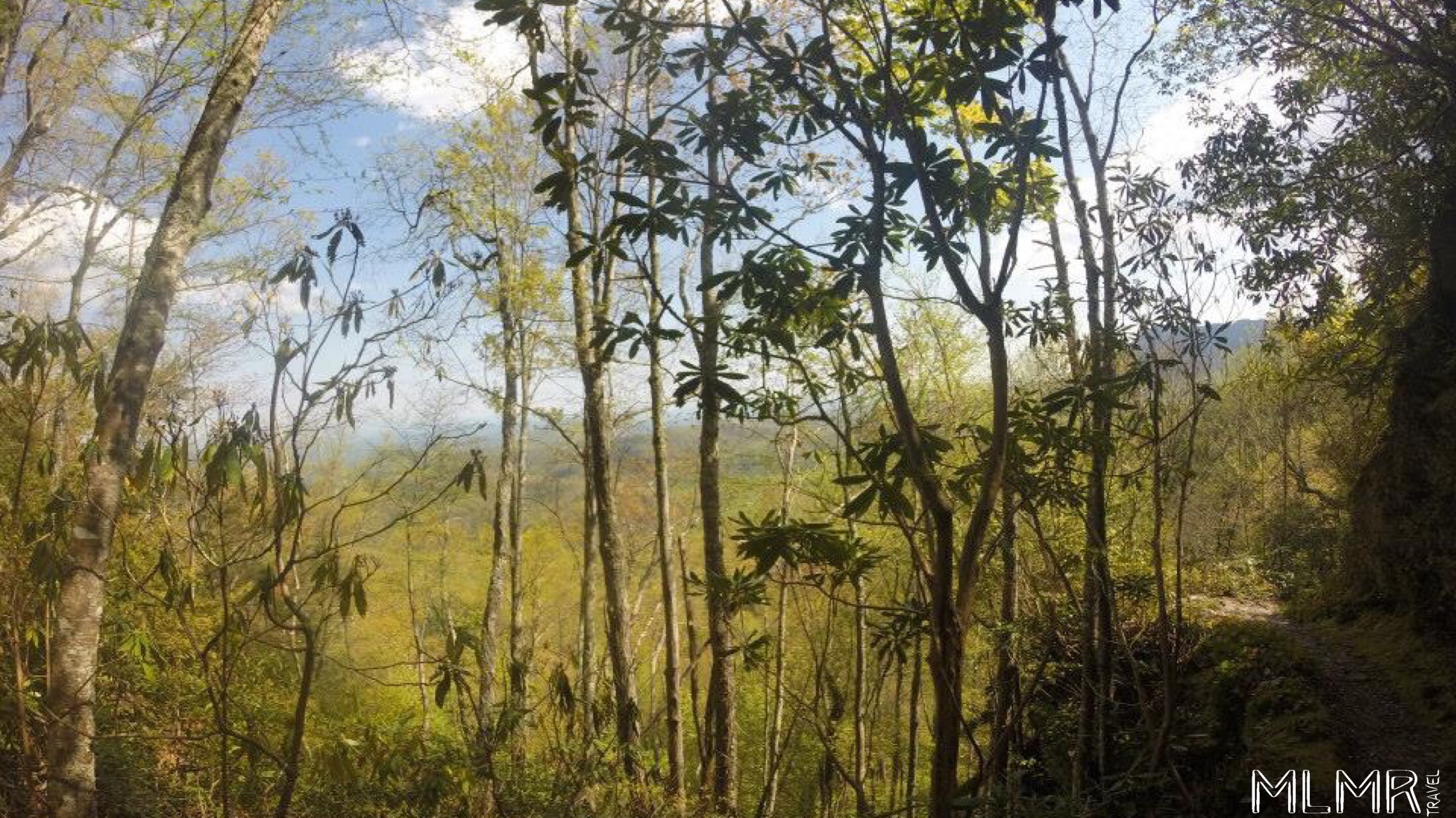 Hiking near Gatlinburg