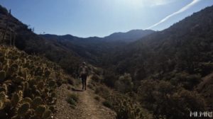 Hiking near the mountain house