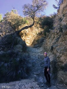 Phil hiking near the mountain house