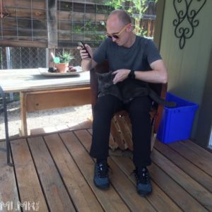 Hanging out with cats in Temecula