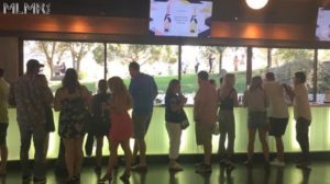 Wine tasting in Napa