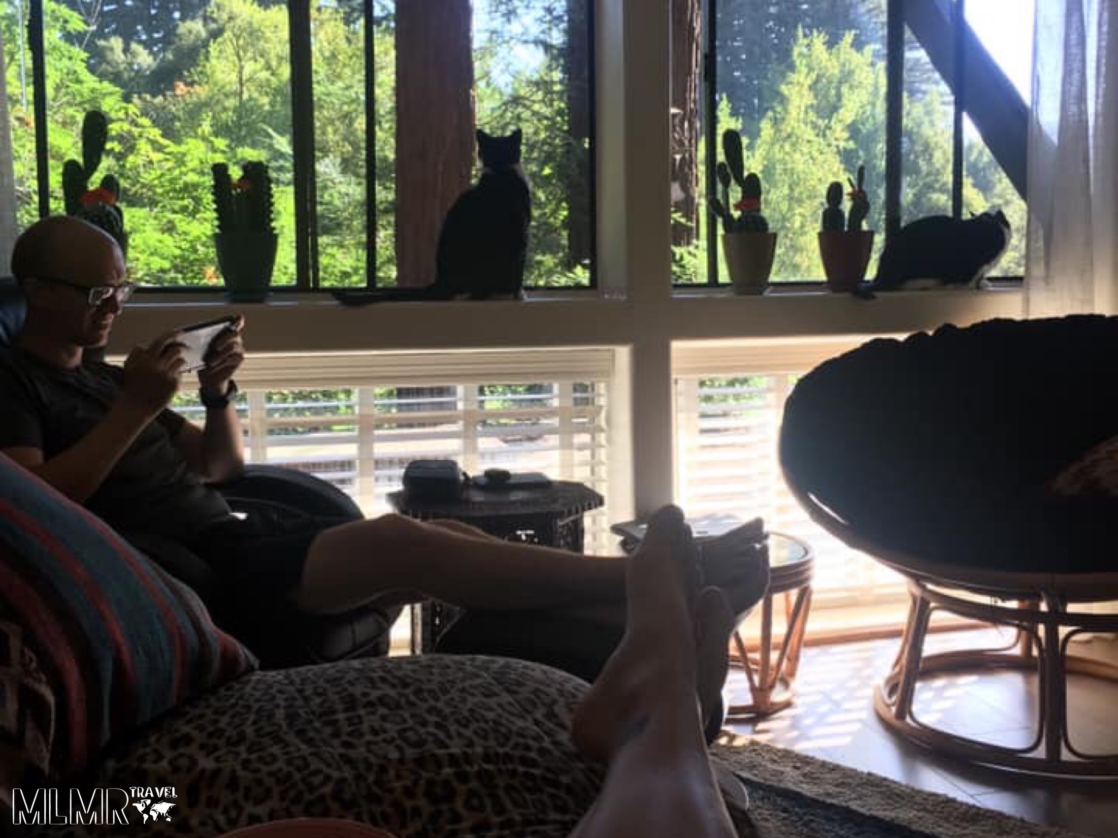 Our weekend getaway to a Santa Cruz treehouse rental