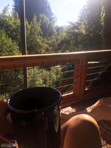 Our Airbnb Santa Cruz treehouse getaway