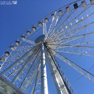 Seattle Great Wheel