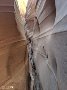 Zebra Slot Canyon Hiking Guide