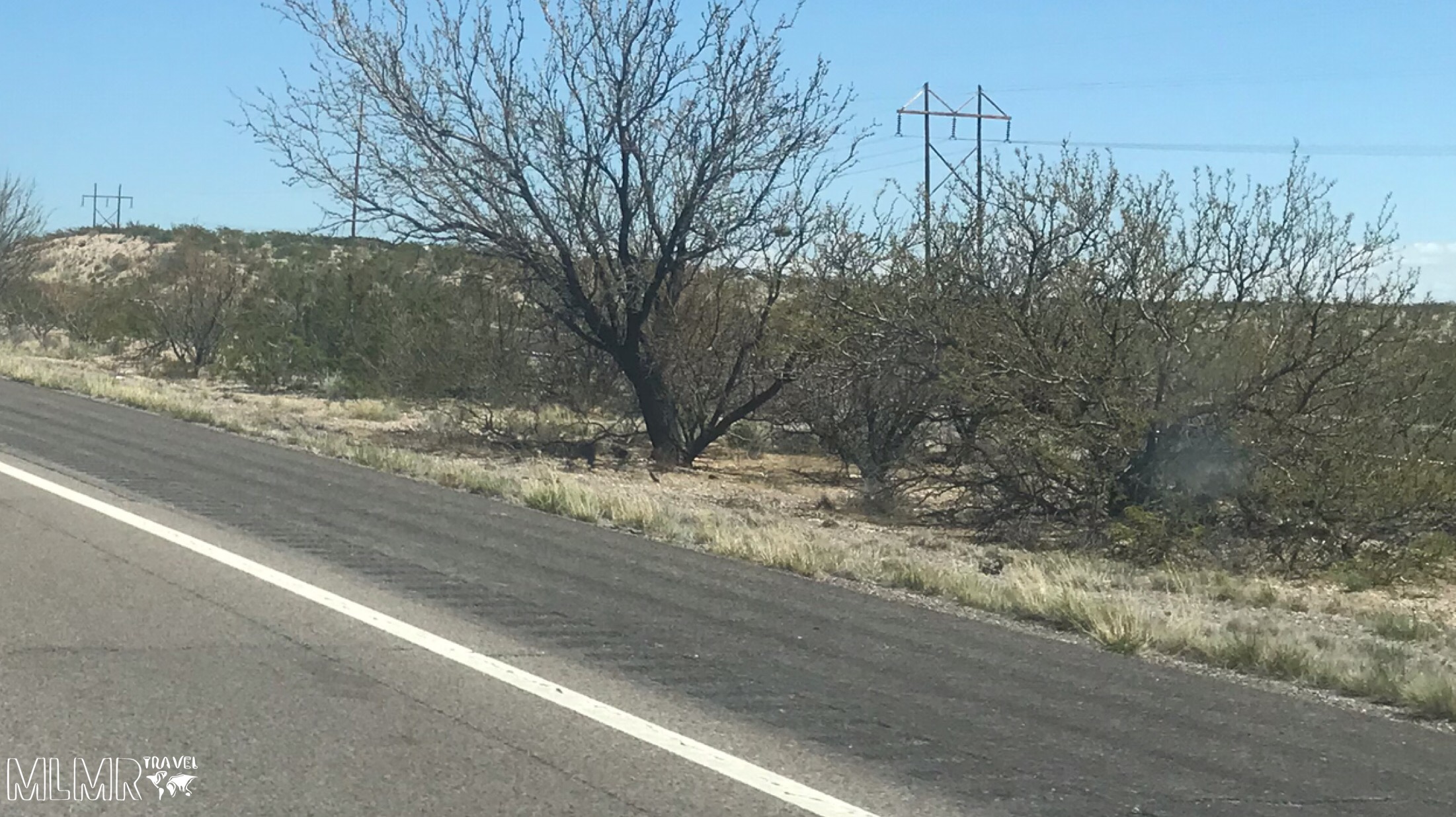 How We Road Trip with Our Tiny House Travel Trailer
