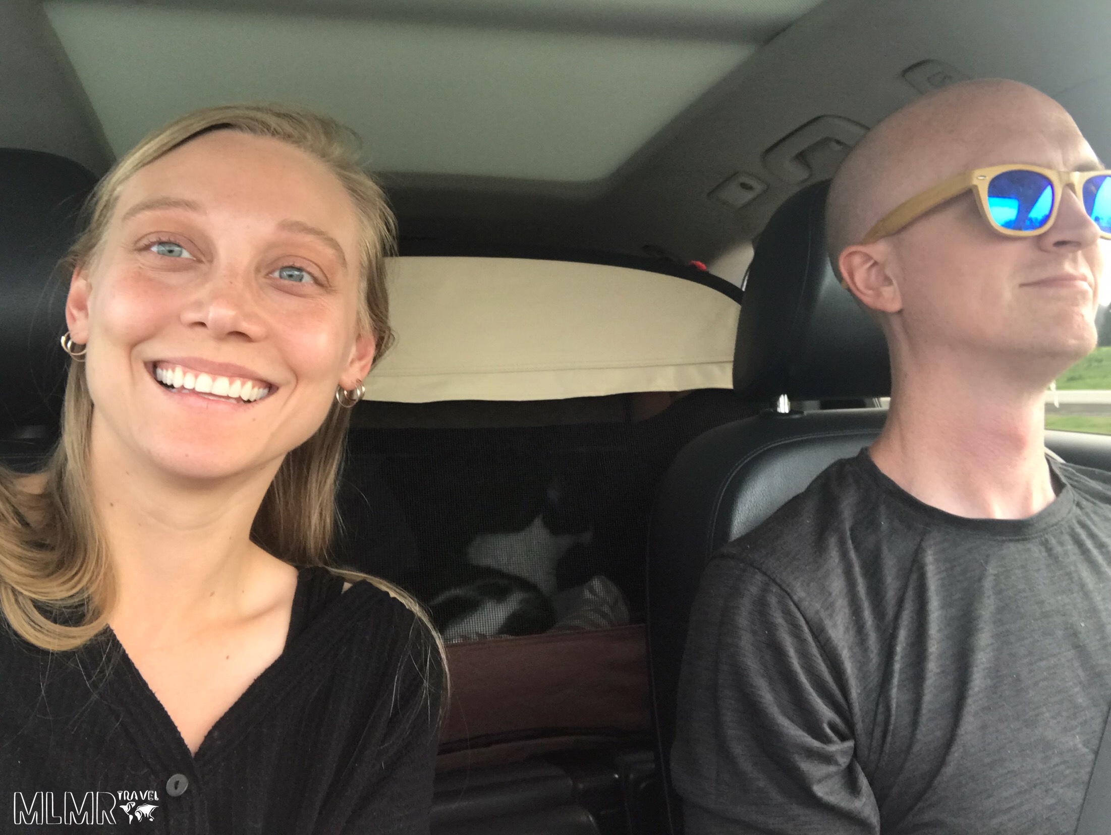 Traveling with Cats in a Car Long Distance