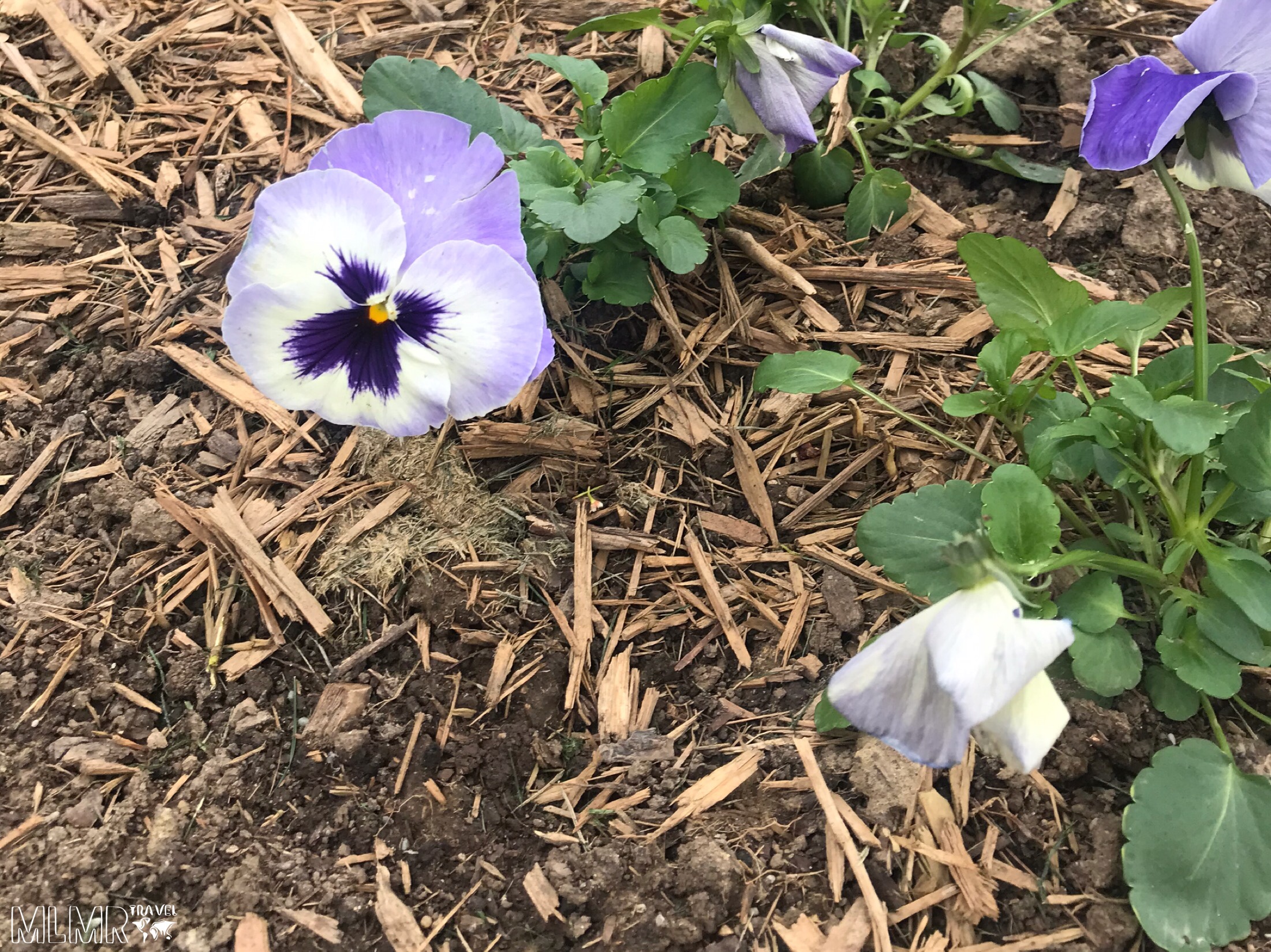 Making your life more environmentally friendly