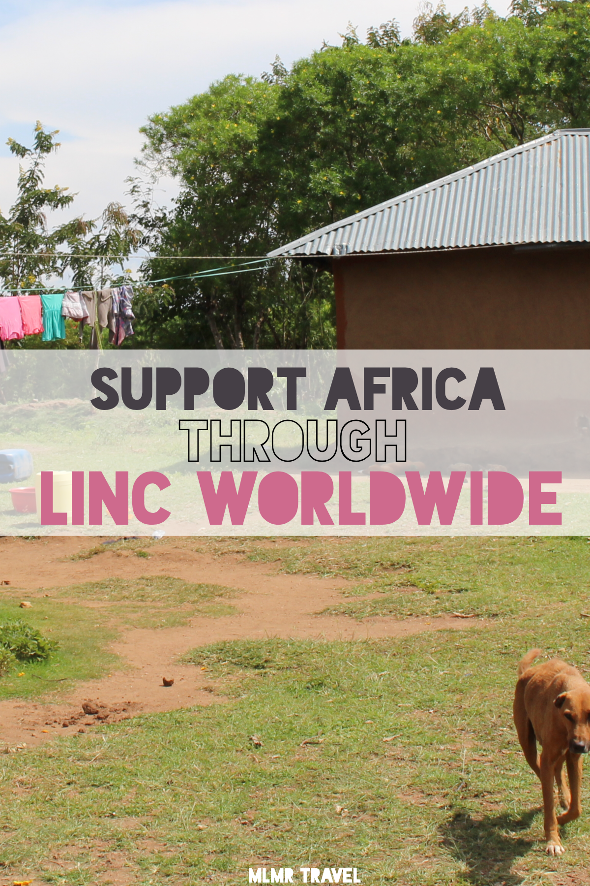 Support Africa Through Linc WorldWide