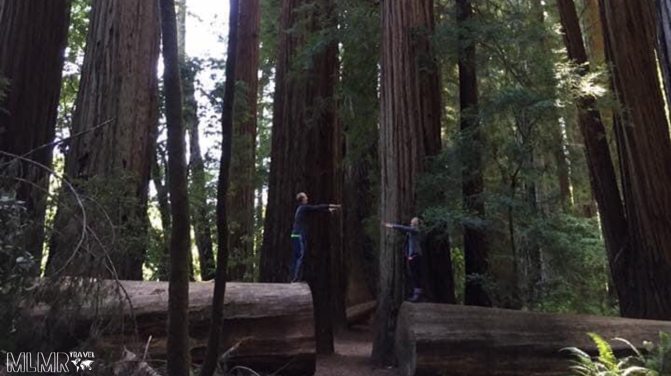 Happiness is going on a trip with someone you love