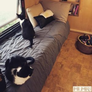 Trailer Living with Cats