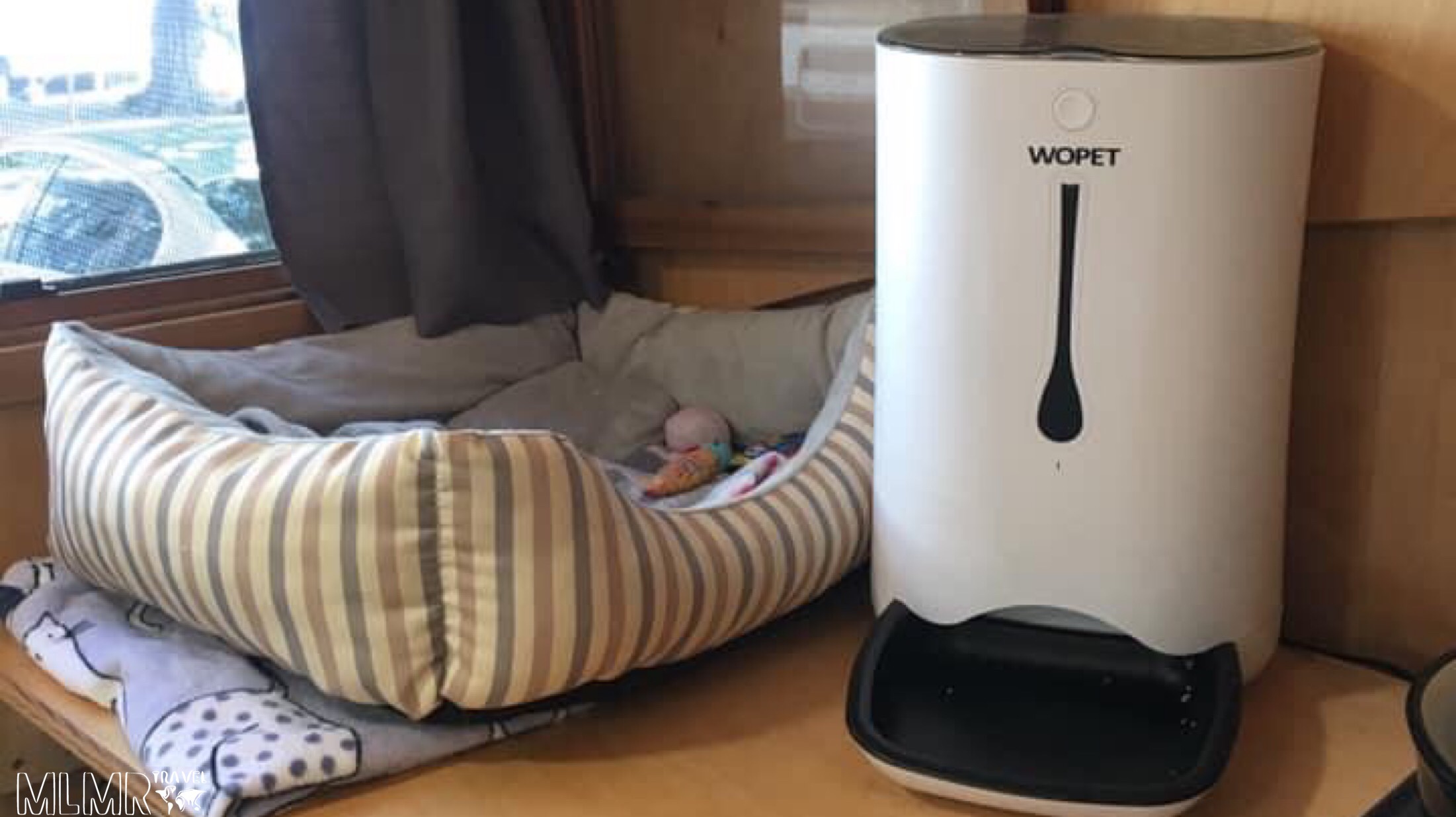 Tips for tiny home living with cats 