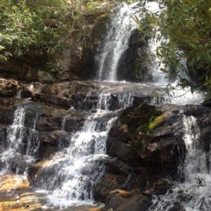 Best Smokey Mountain Hiking Trails Near Gatlinburg