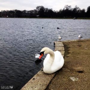 photos to inspire your visit to London