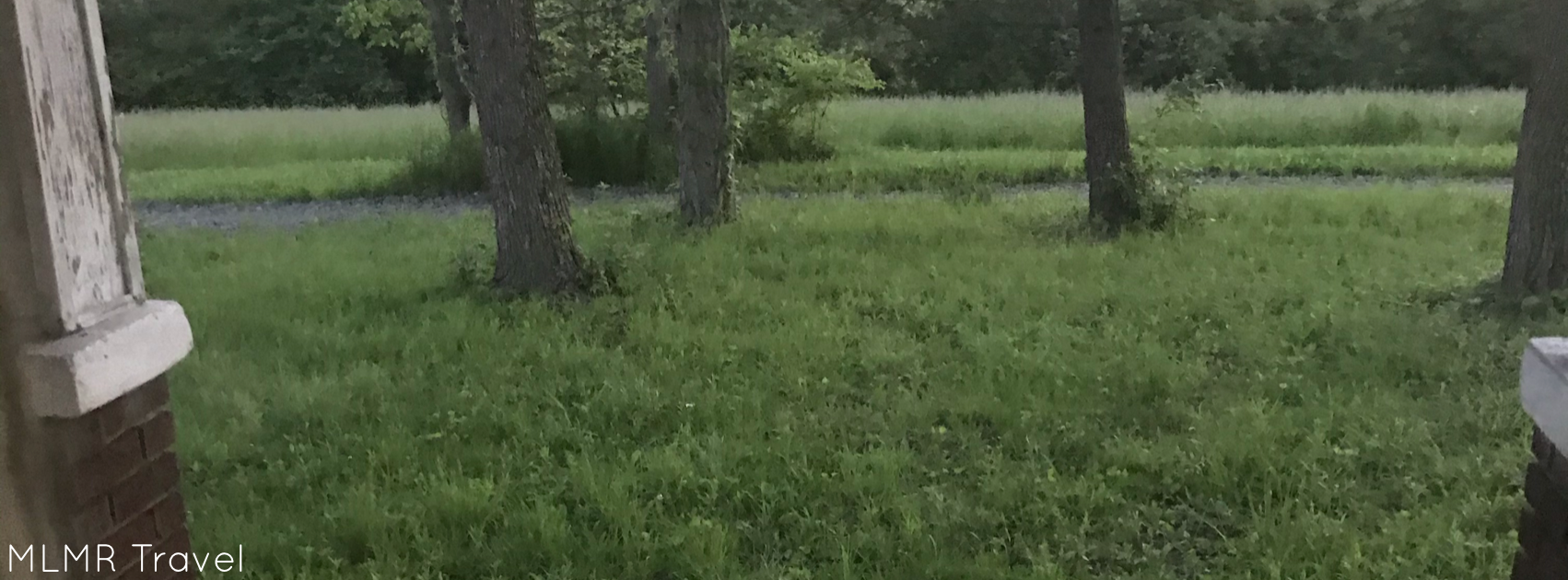 general water-saving tips