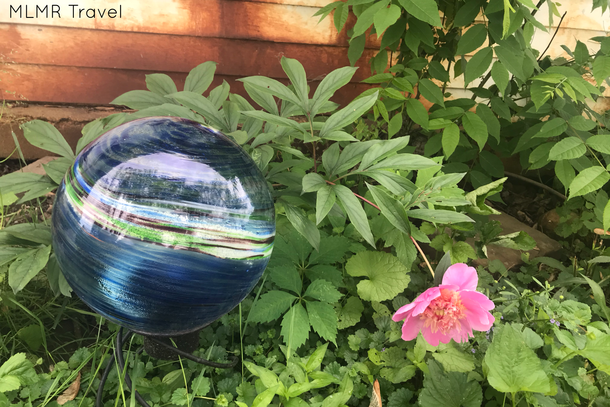 Easy ways to save water at home