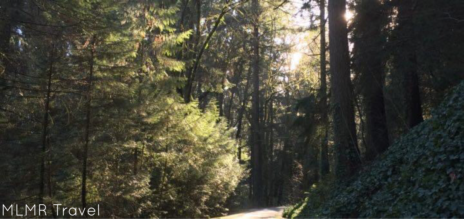 Relocating to Portland