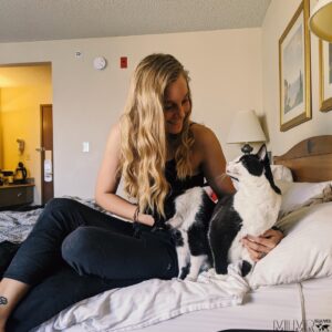 Why La Quinta is a Cat Friendly Hotel
