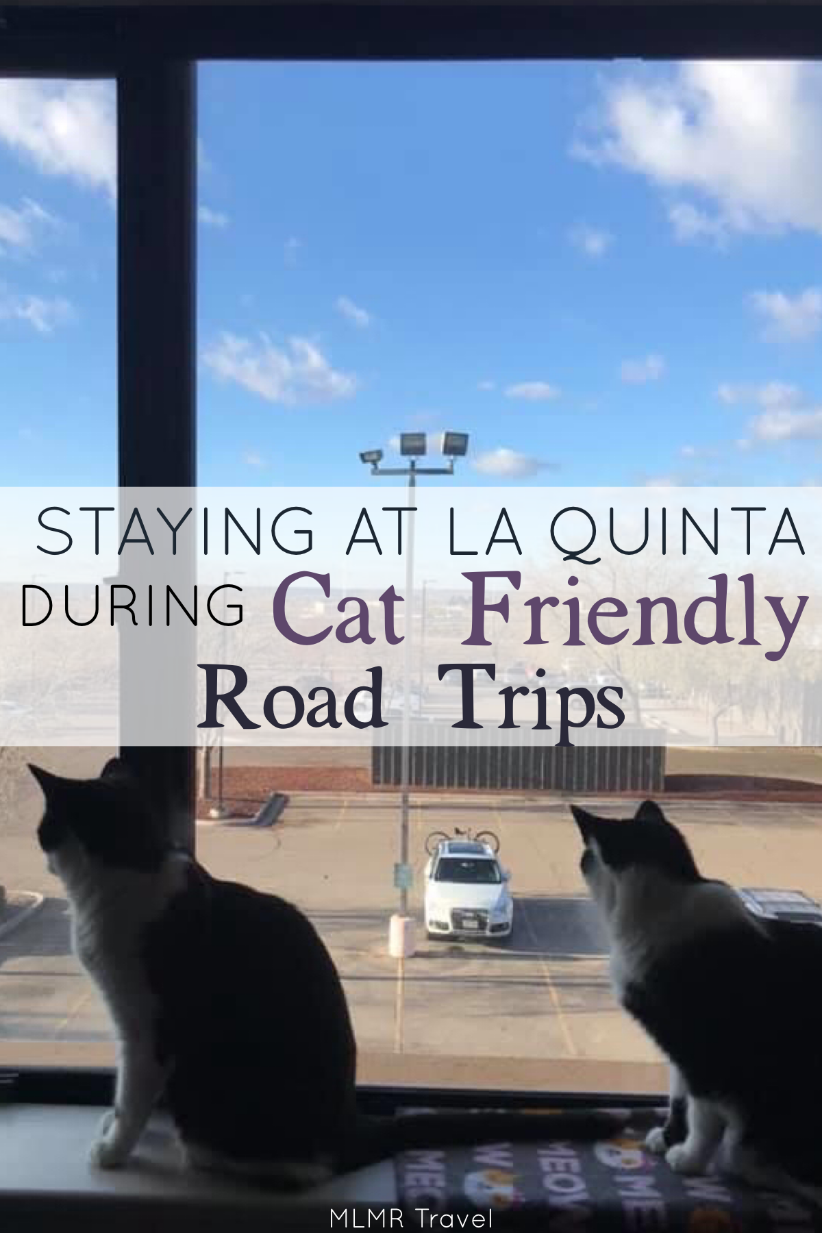 Staying at La Quinta during Cat-Friendly Road Trips