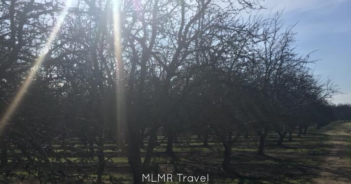 Simple Ways to Become a Minimalist