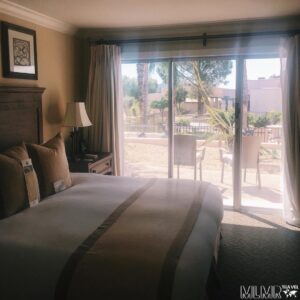 Westward Look in Tucson