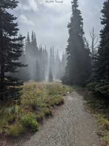 Hiking Mt Rainier National Park