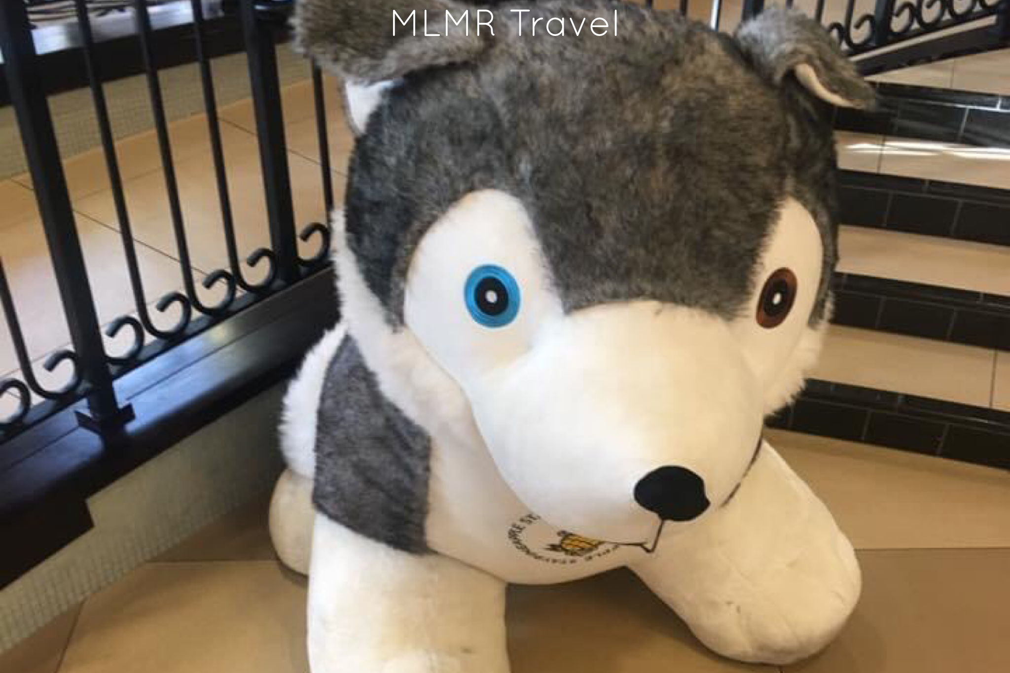 Staying at Staypineapple hotels