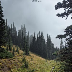 The Best Trails in Mt. Rainier National Park